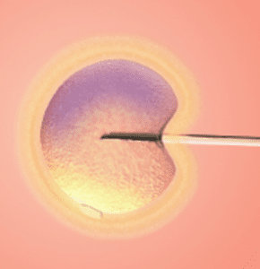 Understanding infertility
